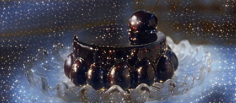 imageedit_11_5838111086